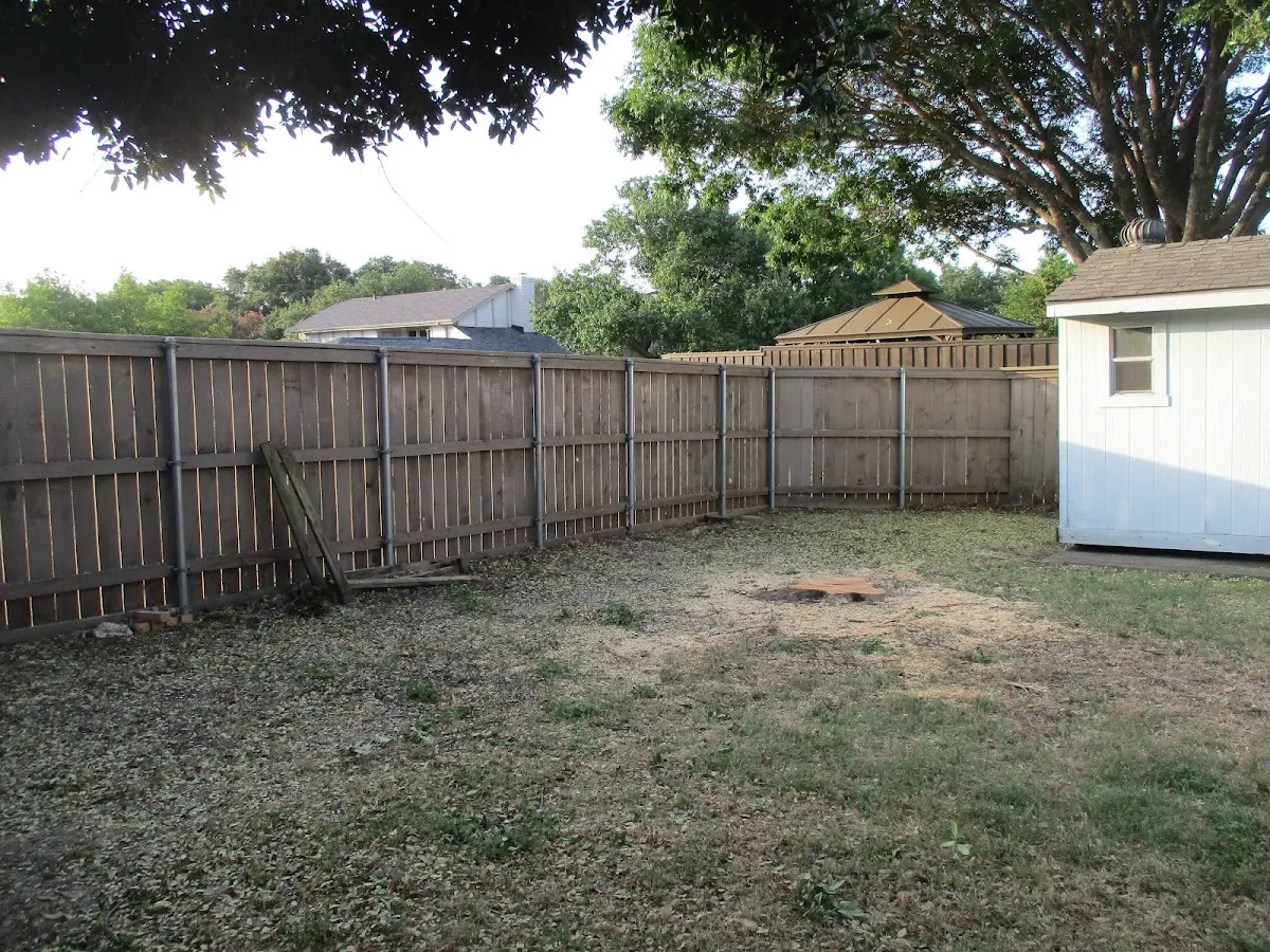 Cleared yard after professional tree removal in West Long Branch