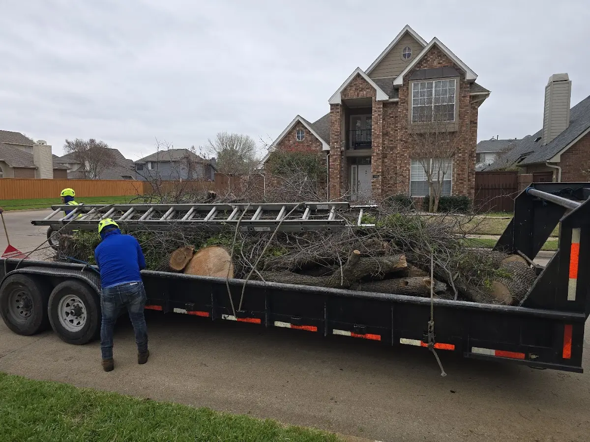 Expert Tree Fertilization with proper safety equipment in West Long Branch